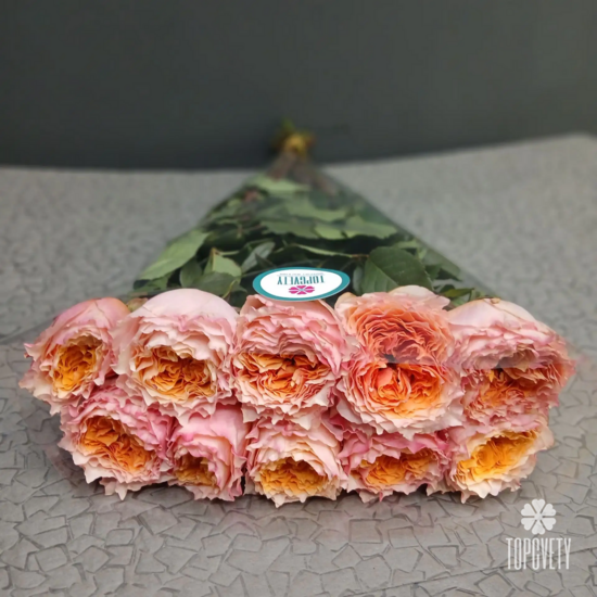 Роза коралловая Кения 50 см в пачке