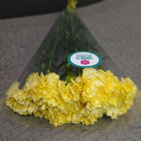 Гвоздика в пачке 