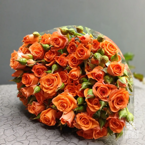 Роза кустовая в пачке 