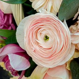 Букет из ранункулюсов, роз и гербер в корзине