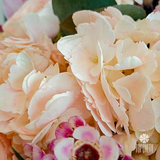 Букет из ранункулюсов, роз и гербер в корзине