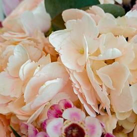 Букет из ранункулюсов, роз и гербер в корзине