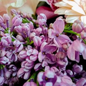 Букет из ранункулюсов, роз и гербер в корзине