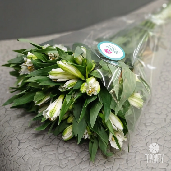 Альстромерия в пачке