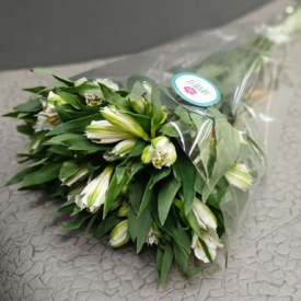Альстромерия в пачке