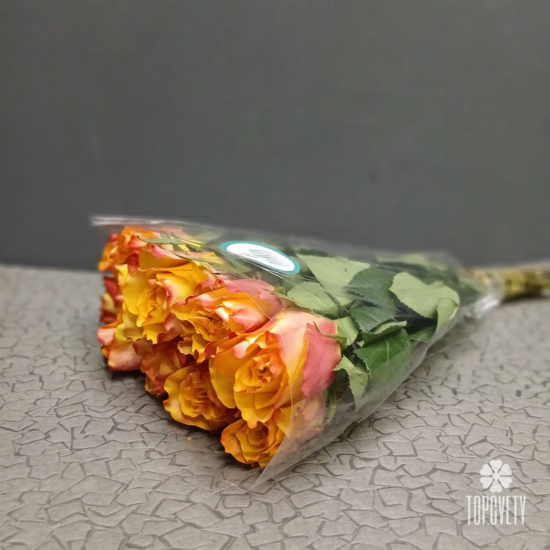 Роза оранжевая Кения 40 см в пачке
