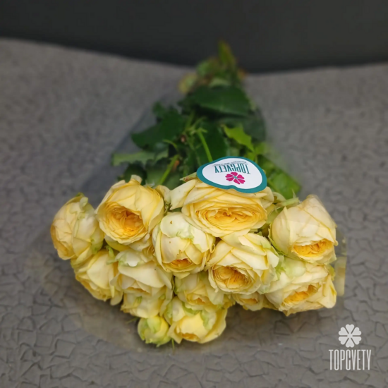 Роза кустовая в пачке 