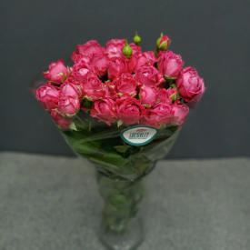Пачка кустовых роз 50 см (10шт)	