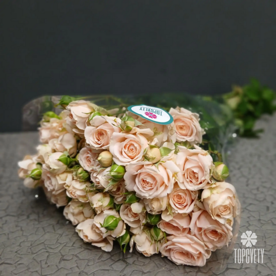 Пачка кустовых роз 50 см (10шт)	