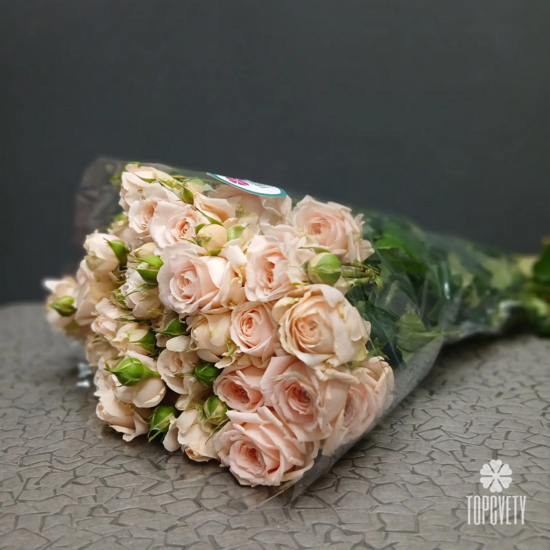 Пачка кустовых роз 50 см (10шт)	