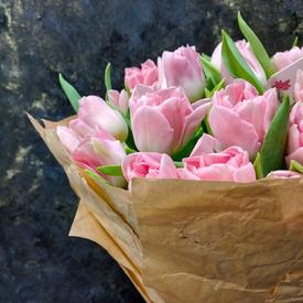 Букет из 35 розовых пионовидных тюльпанов 
