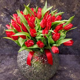 Букет из 35 красных тюльпанов