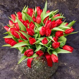 Букет из 35 красных тюльпанов