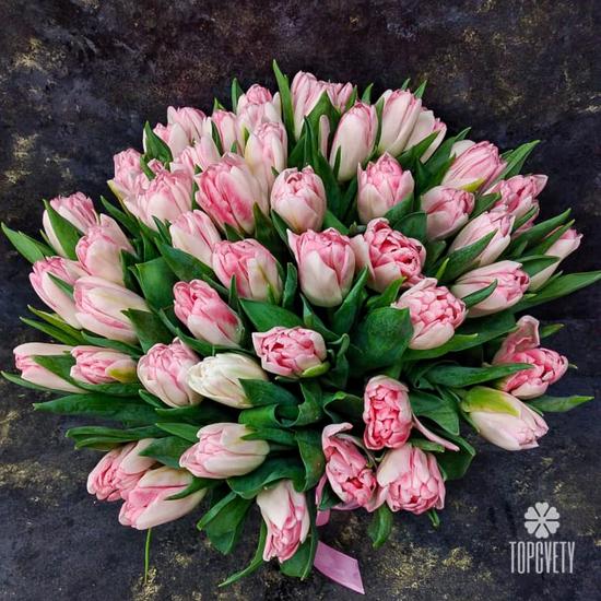 Букет из 51 розового пионовидного тюльпана 