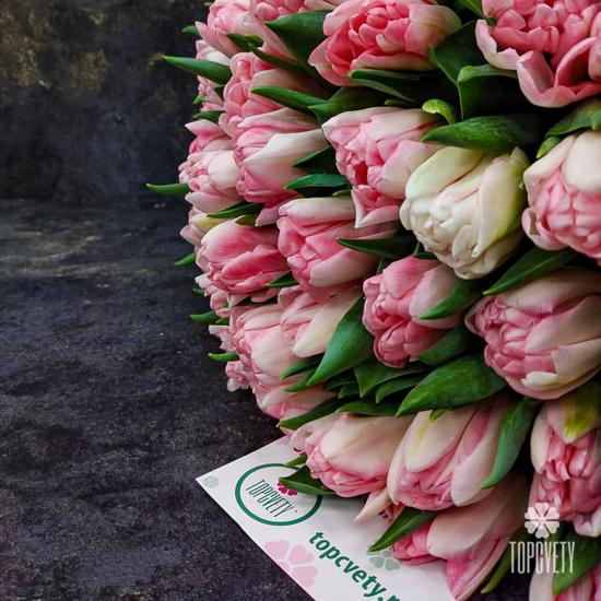 Букет из 51 розового пионовидного тюльпана 
