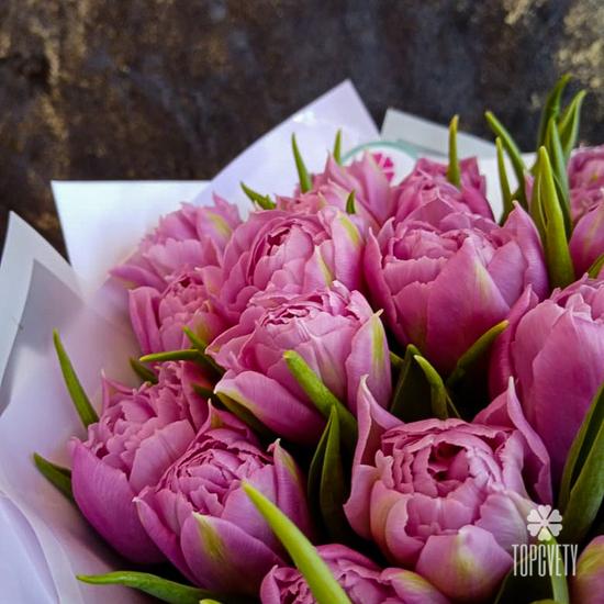 Букет из 35 розовых пионовидных тюльпанов 