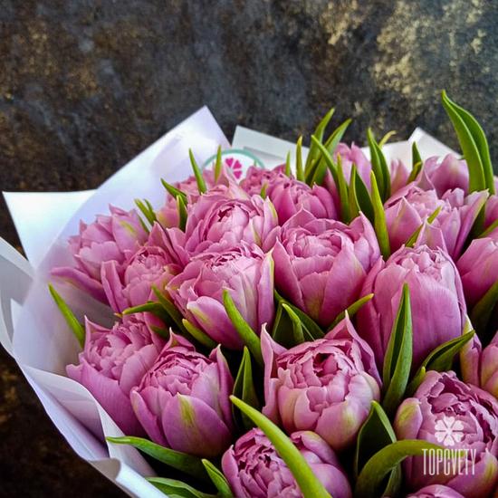 Букет из 35 розовых пионовидных тюльпанов 