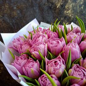 Букет из 35 розовых пионовидных тюльпанов 