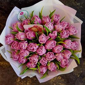 Букет из 35 розовых пионовидных тюльпанов 