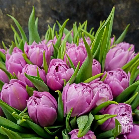 Букет из 35 розовых пионовидных тюльпанов 