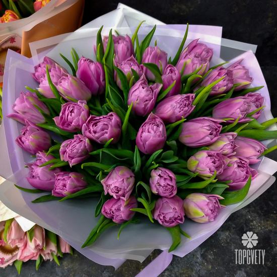 Букет из 35 розовых пионовидных тюльпанов 