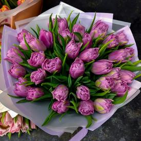 Букет из 35 розовых пионовидных тюльпанов 