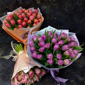 Букет из 35 розовых пионовидных тюльпанов 