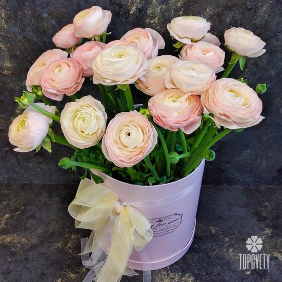 Букет из 21 розового ранункулюса в коробке