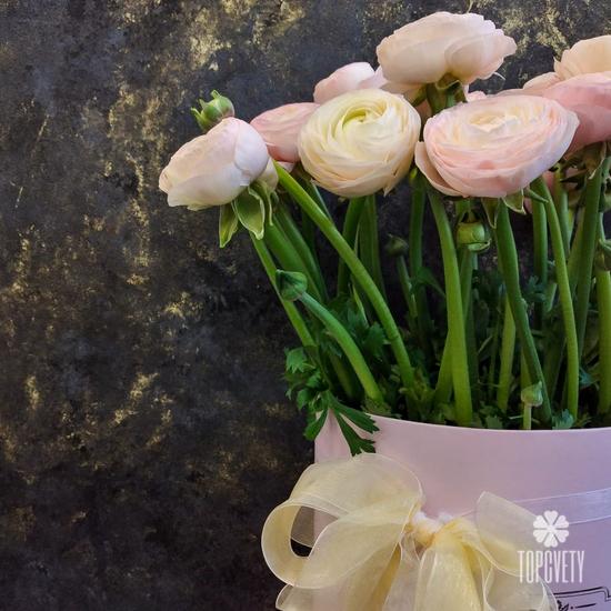 Букет из 21 розового ранункулюса в коробке