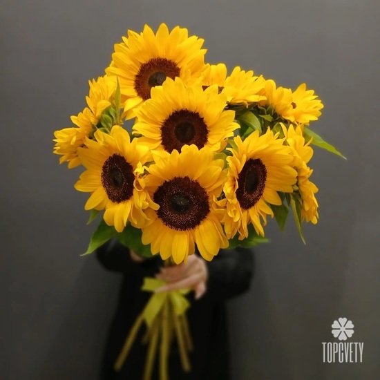 Букет из 9 подсолнухов
