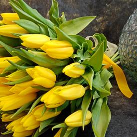 Букет из 51 желтого тюльпана