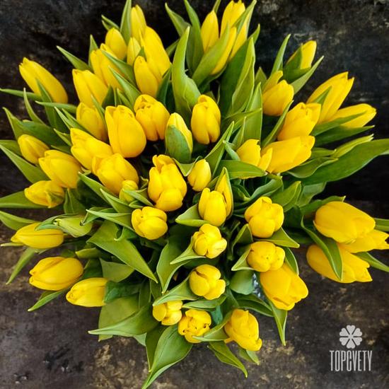 Букет из 51 желтого тюльпана
