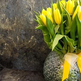 Букет из 51 желтого тюльпана