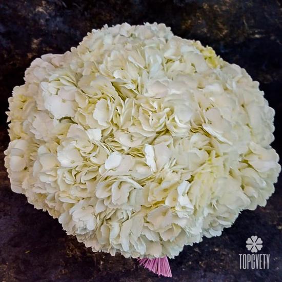 Букет из 9 белых гортензий