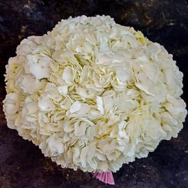 Букет из 9 белых гортензий