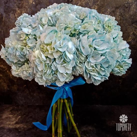 Букет из 15 голубых гортензий