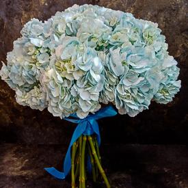 Букет из 15 голубых гортензий