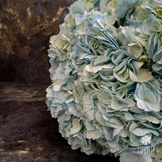Букет из 15 голубых гортензий