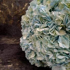 Букет из 15 голубых гортензий