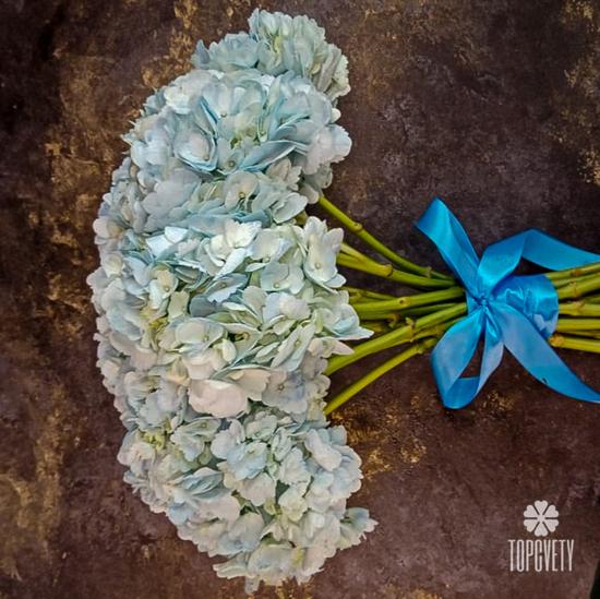 Букет из 15 голубых гортензий