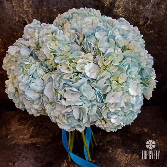 Букет из 15 голубых гортензий