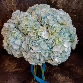 Букет из 15 голубых гортензий