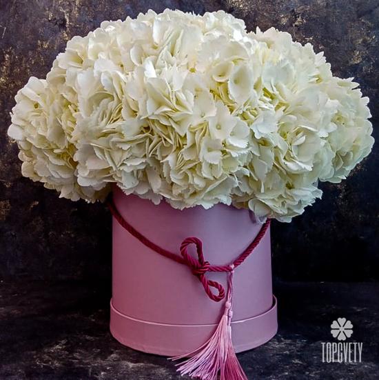 Композиция из 9 белых гортензий в коробке