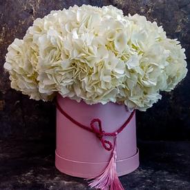 Композиция из 9 белых гортензий в коробке