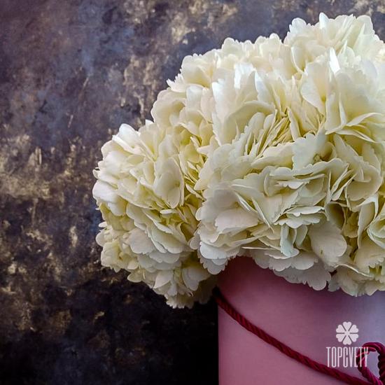 Композиция из 9 белых гортензий в коробке