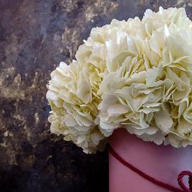 Композиция из 9 белых гортензий в коробке