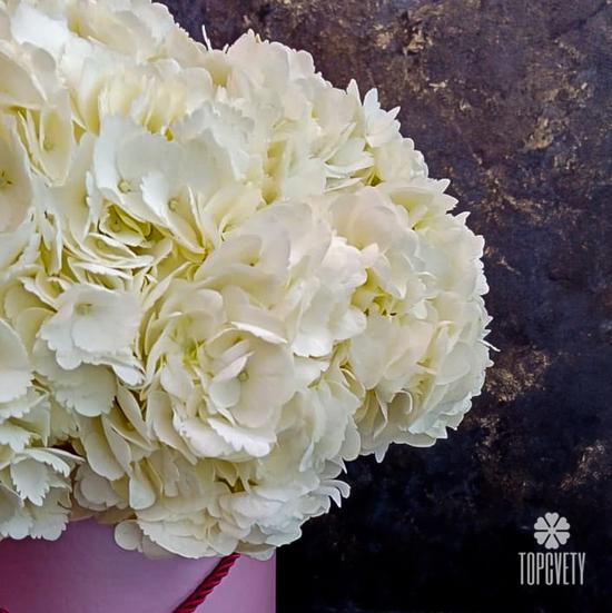 Композиция из 9 белых гортензий в коробке