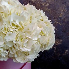 Композиция из 9 белых гортензий в коробке