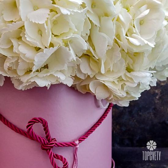 Композиция из 9 белых гортензий в коробке