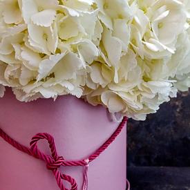 Композиция из 9 белых гортензий в коробке